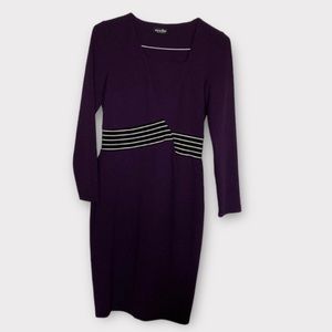 NWOT Eroke Italy Maroon Stretch Dress, Long Sleeve, Striped, Size 10, Lined